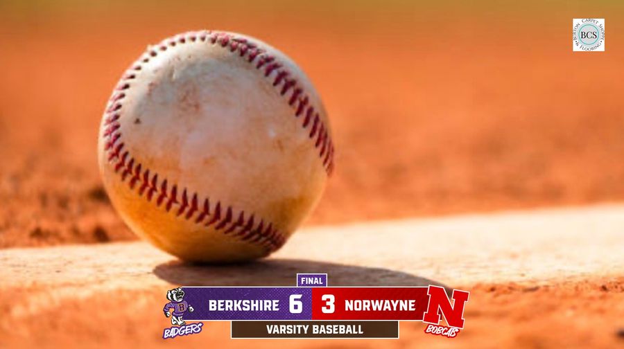 Baseball defeats Norwayne in OHSAA District Semifinal